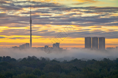 秋天城市日出时的清晨雾图片