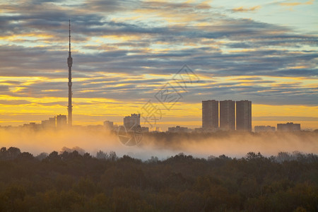 秋天城市日出时的清晨雾图片