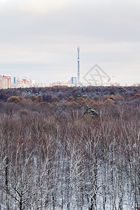 冬日城市公园第一场雪图片