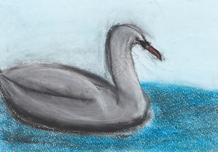 天鹅舞儿童绘画湖边的灰天鹅滑翔背景