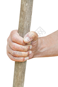 农民手握着白色背景的旧木棍子背景图片