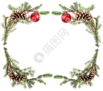 圣诞节贺卡框白底带锥和红球的树枝图片