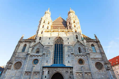 圣斯蒂芬大教堂维也纳图片