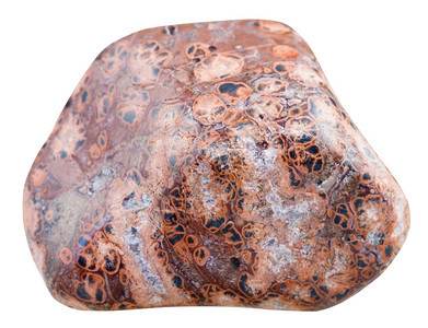 天然矿物石的大型以白色背景与马达加斯隔绝的LeopardskinJasperJaguarStoneOberbiscleJasp宝图片