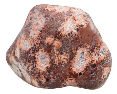 天然矿物石JaguarStoneOberbisionJesper来自马达加斯的白底宝石图片