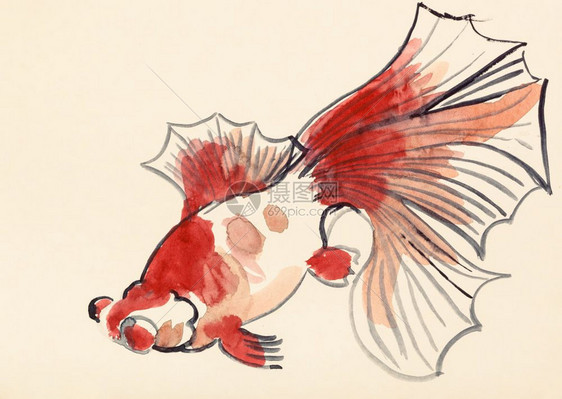 以水彩油漆为特色用水彩涂料象牙彩纸上的红金鱼进行单体图库加风格的培训图片