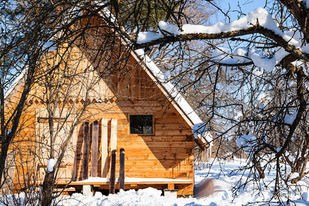 在俄罗斯摩伦克地区阳光明媚的冬季日子里图片