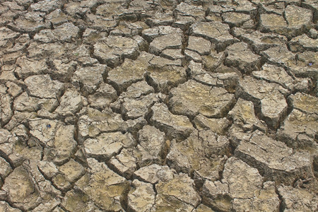 旱季破碎的土壤质图片