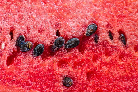 甜西瓜的红质图片