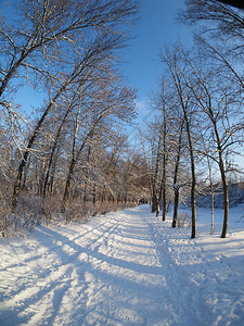 冬季公园图片