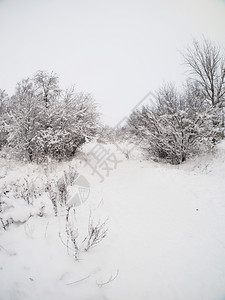 雪地貌图片