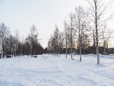 雪地貌图片