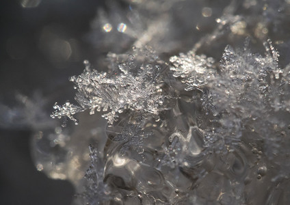 冰上的雪花图片