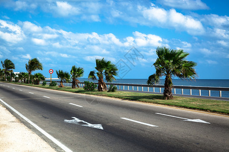 阳光明媚的海边公路图片