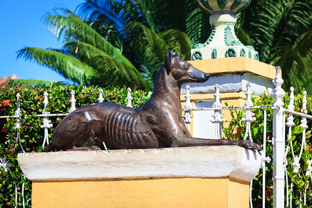 动物雕塑在阳光明媚的一天雕塑只狗的背景