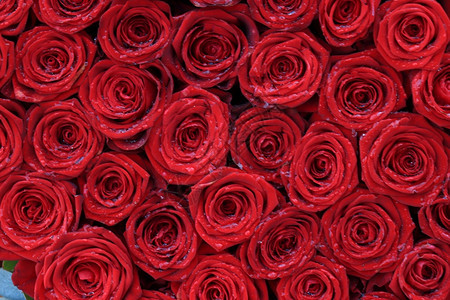 婚礼花朵安排中的红玫瑰大图片
