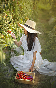 亚洲可爱的小女孩带红番茄在花园收获新鲜蔬菜图片