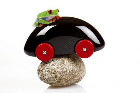树青蛙玩具和其他物品中的树青蛙图片