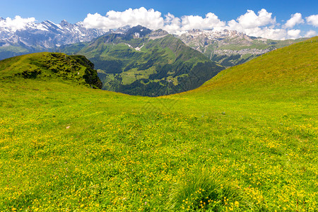 瑞士阿尔卑斯山脉在阳光明媚的一天景象Mannlichen瑞士劳特布伦宁市附近的瑞士阿尔卑斯山脉景象瑞士图片