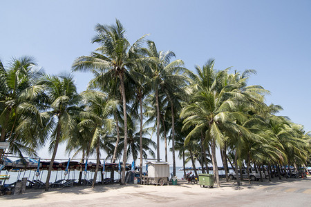泰国春武里省邦森镇的邦森海滩泰国邦盛2018年11月泰国春武里邦盛海滩背景图片
