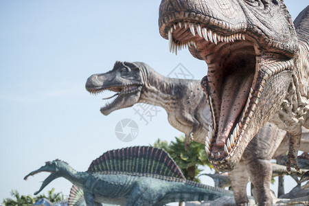 小恐龙泰国巴塔亚2018年月巴塔亚背景