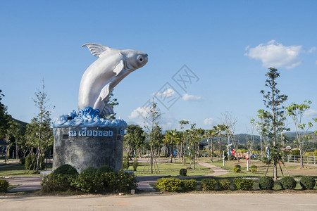 泰国清井省川市大湄公河鱼纪念碑2019年月泰国清川图片