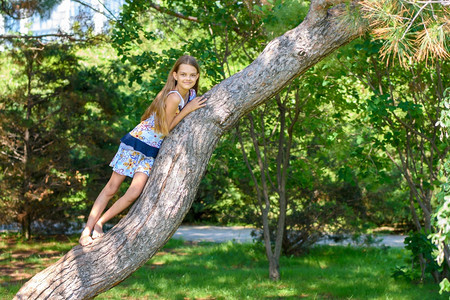 女孩爬上一棵树在城市公园玩耍图片