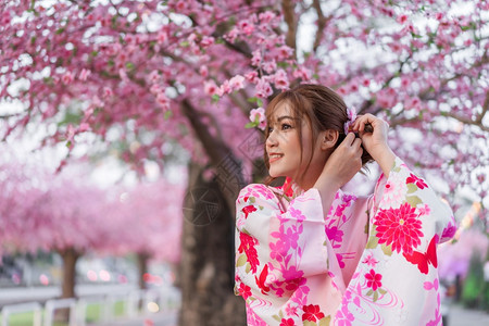 穿着和服的女人看着花园里盛开的樱花或樱花图片