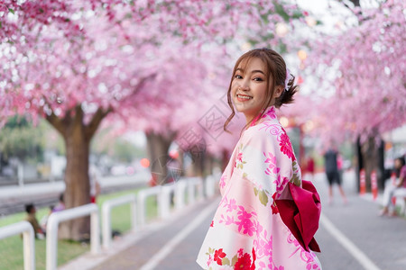 穿着和服的女人看着花园里盛开的樱花或樱花图片