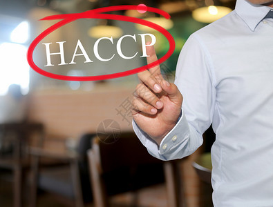 人类触摸文字HACCP的手白色HACCP在模糊的内幕背景采用的概念以促进你的业务组织图片