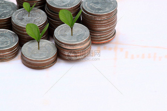 纸面背景的商业增长概念中的银币堆和树顶图片