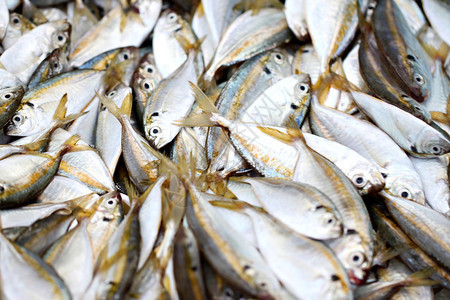海鲜市场有很多黄流鱼类图片