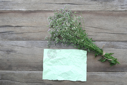 花草纸棕色木制背景的花草和皱纹绿皮纸背景