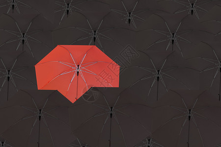 红伞围着黑色管理商业思想背景的概念图片