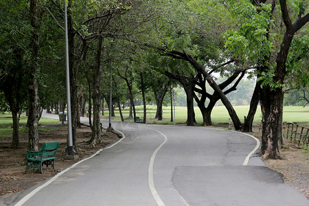 在公共园的路上白天图片