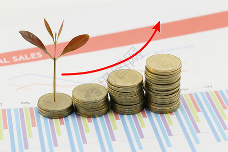 纸质图表背景中商业增长概念的银质硬币堆和树顶图片