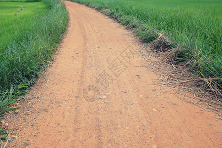 两边都有绿草的农村道路图片