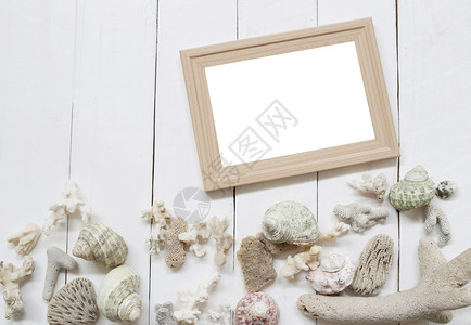 白木地板上的质相框有壳牌和珊瑚礁用于海洋和夏季旅游的概念图片