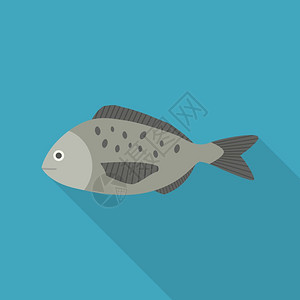 沙尖鱼灰鱼图标插画