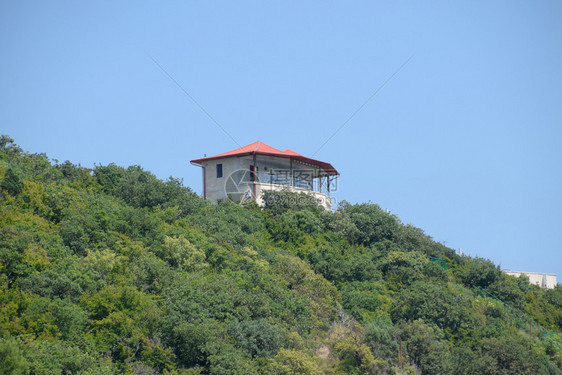 在山上为游客建造房屋在树上建图片