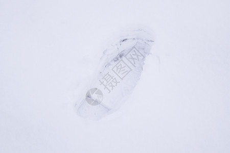 雪地里的脚印光滑的追踪高清图片