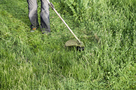 使用钓鱼线三角网应用使钓线三角网种植绿草背景图片