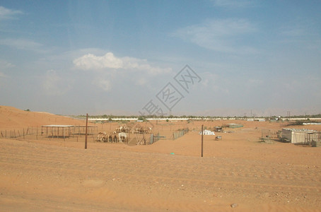 庇护所中的骆驼阿拉伯联合酋长国的动物图片