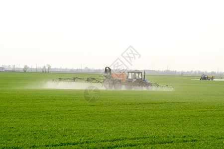 俄罗斯Temryuk附近的田地2017年5月日高轮拖拉机正在对小麦施肥使用微散喷洒的化学品拖拉机配备微散喷洒化肥的装置拖拉机配备图片