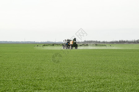 俄罗斯Temryuk附近的田地2017年5月日高轮拖拉机正在对小麦施肥使用微散喷洒的化学品拖拉机配备微散喷洒化肥的装置拖拉机配备图片