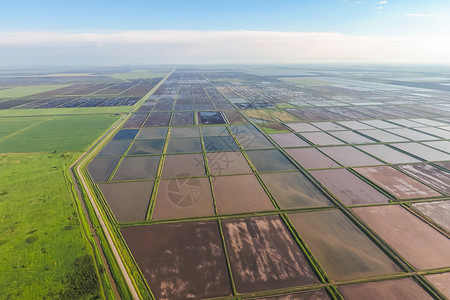 大米田野种植大米的农艺方法稻田用水浇灌地从上面看大米田农艺方法稻田种植种植法稻图片