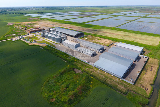 谷物终端干燥和储存厂田地中部的稻米厂顶视图层谷物底部i图片