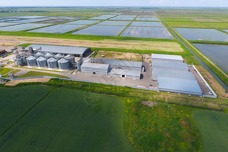谷物终端干燥和储存厂田地中部的稻米厂顶视图层谷物终端图片