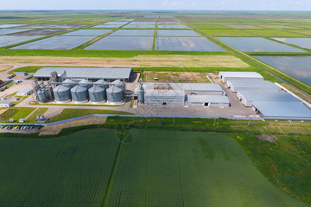 谷物终端干燥和储存厂田地中部的稻米厂顶视图层谷物终端图片