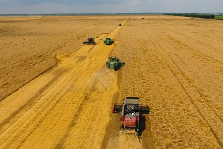 克拉克斯顿麦田俄罗斯克拉诺达尔2017年月日收获小麦者农业机械在田间收获谷物农业机械在运行收获小麦者农业机械在收割谷物背景